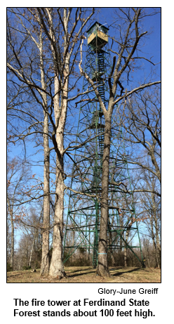 The fire tower at Ferdinand State Foreset stands about 100 feet high.  Courtesy Glory-June Greiff.