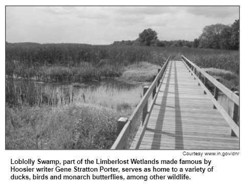 Loblolly Swamp, part of the Limberlost Wetlands made famous by Hoosier writer Gene Stratton Porter, serves as home to a variety of ducks, birds and monarch butterflies, among other wildlife.