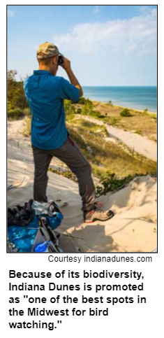 Because of its biodiversity, Indiana Dunes is promoted as "one of the best spots in the Midwest for bird watching." Courtesy indianadunes.com