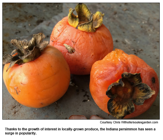 Thanks to the growth of interest in locally-grown produce, the Indiana persimmon has seen a surge in popularity.  
Courtesy Chris Wilhoite/soulesgarden.com